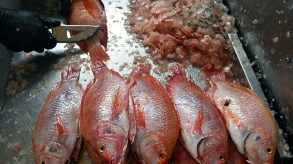 Principais pontos do novo acordo da OMC sobre pesca