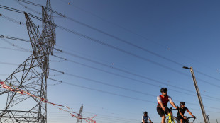 Domanda di elettricità nel 2023 in calo del 3,2% in Italia