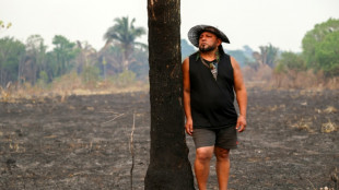 El avance de Fl&aacute;vio Bolsonaro alarma a los guardianes de la Amazon&iacute;a brasile&ntilde;a