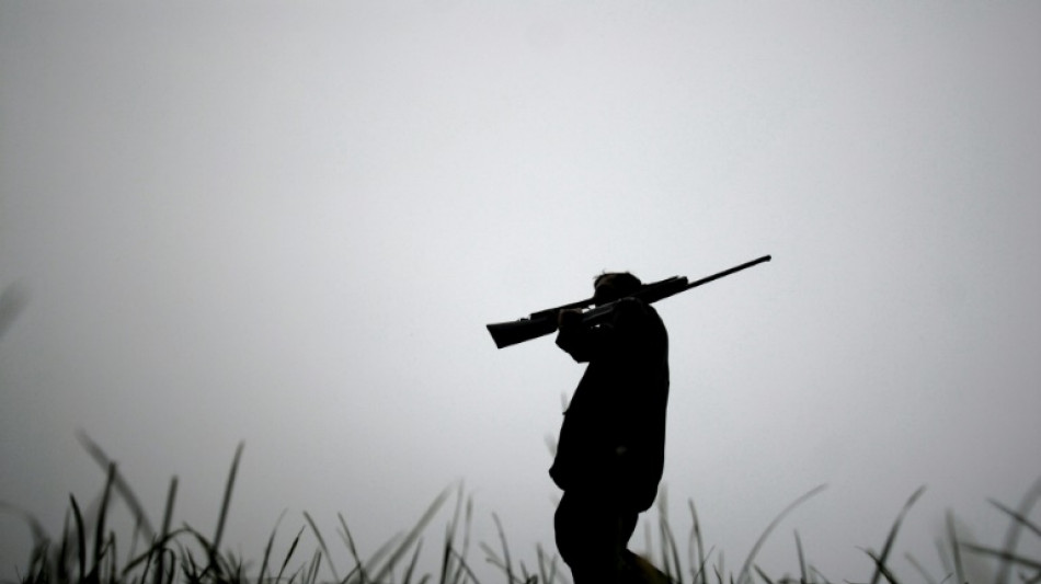 L'interdiction de la chasse &agrave; la tourterelle des bois prolong&eacute;e d'un an