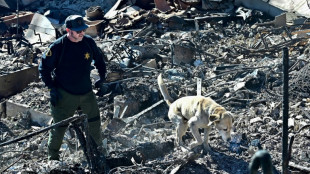 Rescatistas buscan cad&aacute;veres antes de que el viento arrecie en Los &Aacute;ngeles