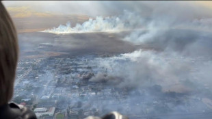 Bombeiros lutam contra as chamas em Mau&iacute;; mortos chegam a 55