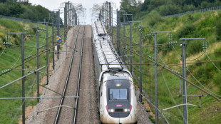 Sabotages en France: retour &agrave; la normale sur le r&eacute;seau TGV