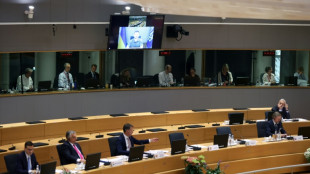 Selenskyj dr&auml;ngt EU-Staaten zur baldigen Einigung auf Sanktionen