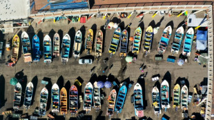 Chile fracasa en su intento de recuperar la popular merluza