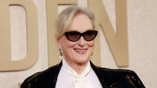 La actriz Meryl Streep recibir&aacute; una Palma de Oro honor&iacute;fica en Cannes