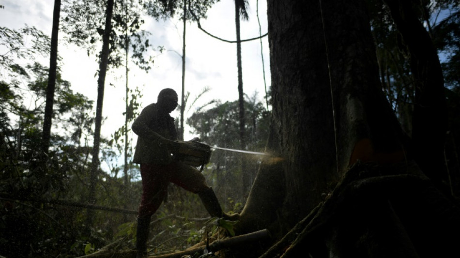 Ind&iacute;genas da Amaz&ocirc;nia colombiana alertam para aumento do desmatamento se Usaid fechar