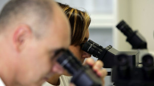 I batteri 'parlano' dall'intestino, nuovi scenari contro l'ansia