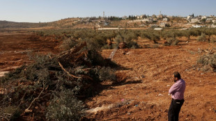 Israeli bulldozers uproot hundreds of trees in West Bank village