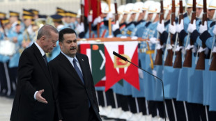 Edogan sichert d&uuml;rregeplagtem Irak mehr Wasser im Tigris zu