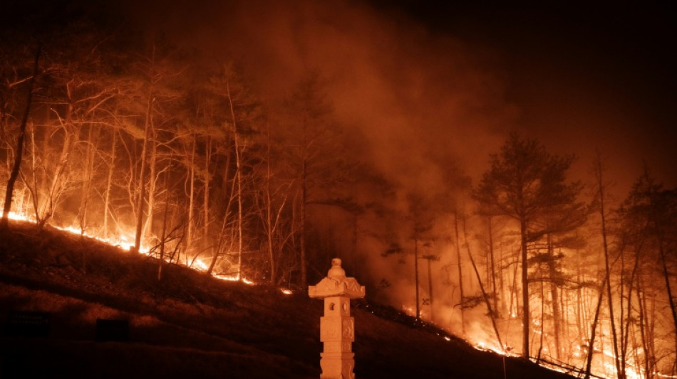 'Like the apocalypse': S. Korea wildfires tear through mountains