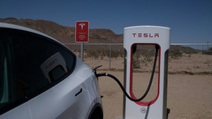 Bericht: Kalifornische Fahrzeugbeh&ouml;rde verklagt Elektroautobauer Tesla