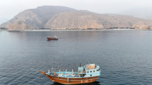 Ir&aacute;n advierte a los buques que no se desv&iacute;en de ruta demarcada en estrecho de Ormuz