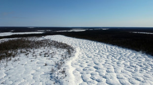 En Sib&eacute;rie, le d&eacute;gel du perg&eacute;lisol constelle le paysage d'intrigantes bosses