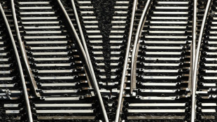 Deutsche Bahn erneuert in diesem Jahr tausende Weichen und hunderte Bahnh&ouml;fe