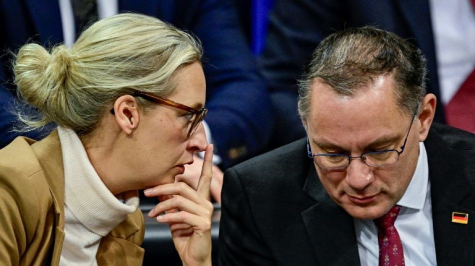 "Wildwest-Methoden": AfD-Spitze geht auf Distanz zu Trumps Au&szlig;enpolitik