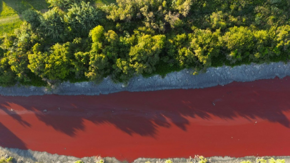 Las aguas de un arroyo de Buenos Aires bajan te&ntilde;idas de rojo