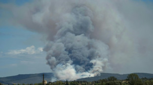 Pobladores evacuados en el sur de Francia por incendio que arrasa 2.000 hect&aacute;reas de bosque