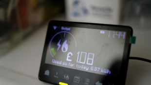 Haushalte k&ouml;nnten durch flexible Nutzung gro&szlig;e Mengen Strom "verschieben" 