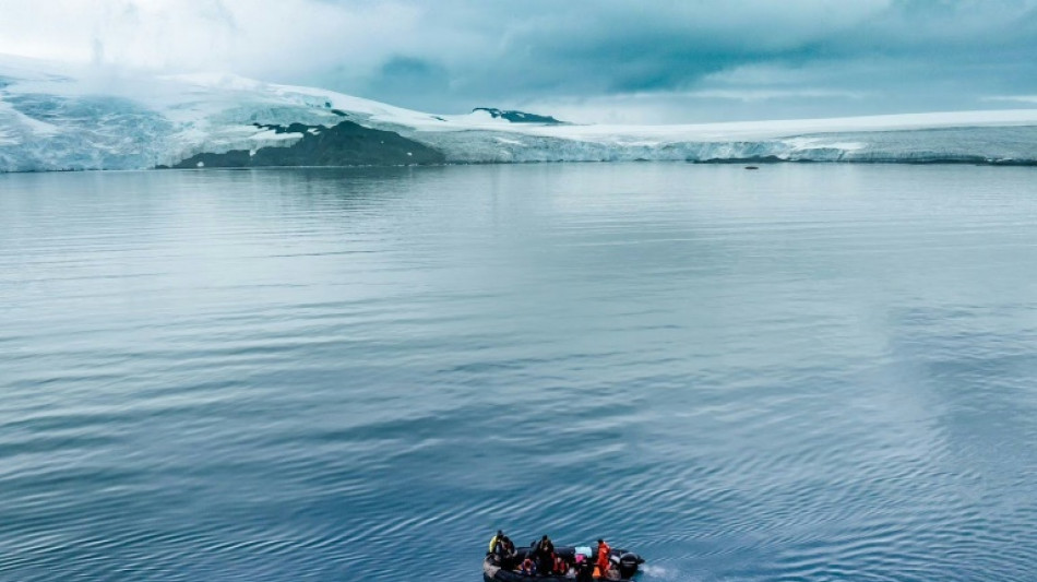Premi&egrave;re au monde &agrave; nager 2,5 km dans l'Antarctique, elle a senti son "coeur comme gel&eacute;"