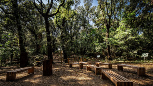 La fotosintesi in aumento sulla terraferma, ma rallenta nei mari