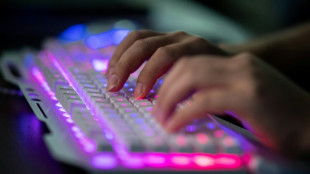 "Wir schlagen zur&uuml;ck": Polizei und BSI werden im Cyber-Kampf gest&auml;rkt