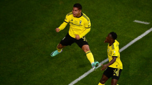 Columbus sink Los Angeles to win MLS crown for third time&nbsp;