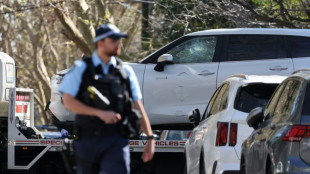 Australia police arrest man after Russian consulate car crash