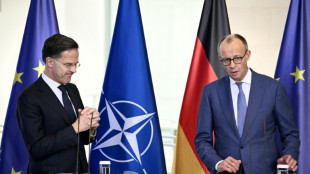 Ukraine: une proposition sur les concessions territoriales soumise &agrave; Trump, selon Merz