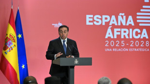 Espa&ntilde;a apoyar&aacute; una soluci&oacute;n "pac&iacute;fica" para Siria y que d&eacute; "estabilidad", afirma el ministro de Exteriores