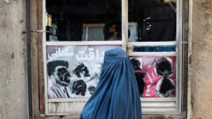 La ONU insta a los talibanes a permitir a las mujeres afganas trabajar en oeneg&eacute;s