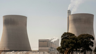 L'Afrique du Sud reprend une partie de la dette de la compagnie d'&eacute;lectricit&eacute; Eskom