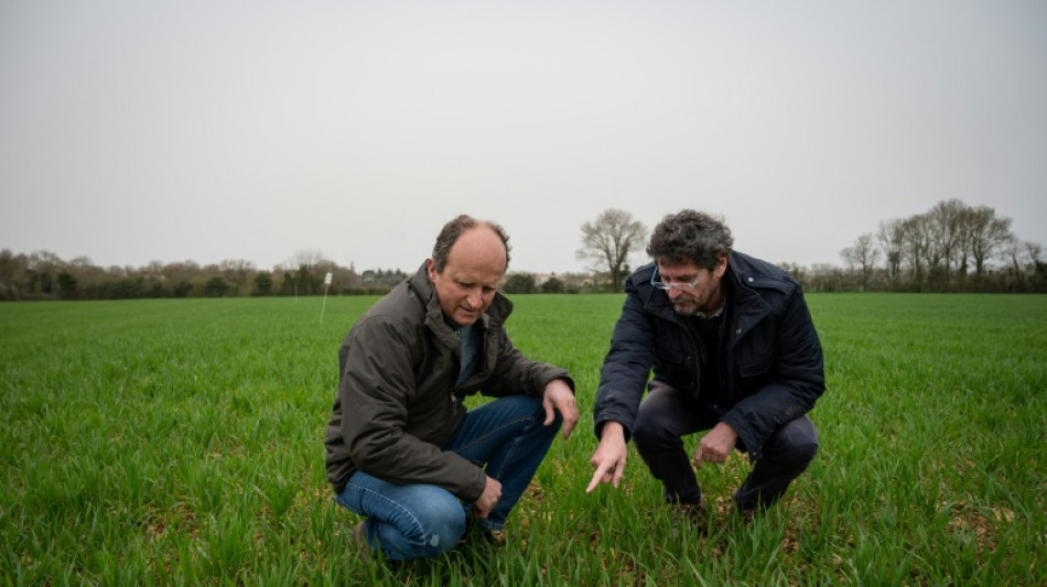 Chercheurs et agriculteurs coop&egrave;rent pour diminuer la d&eacute;pendance aux produits chimiques