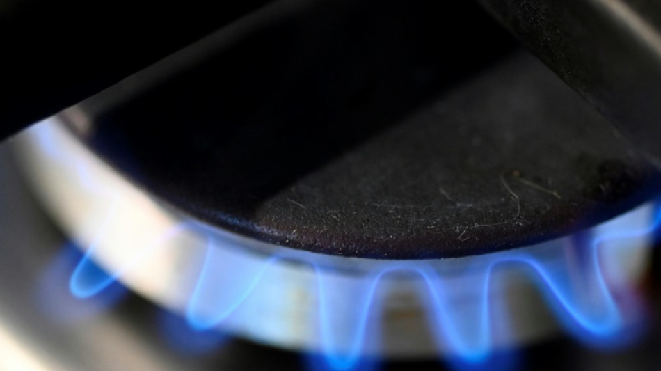 Bundestag entscheidet &uuml;ber Senkung der Mehrwertsteuer auf Gas und Fernw&auml;rme
