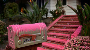 Au-dessus des ruines de Los Angeles, une barri&egrave;re rose face aux flammes