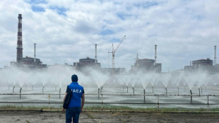 Zaporijjia: l'AIEA veut un meilleur acc&egrave;s, Moscou et Kiev s'accusent 