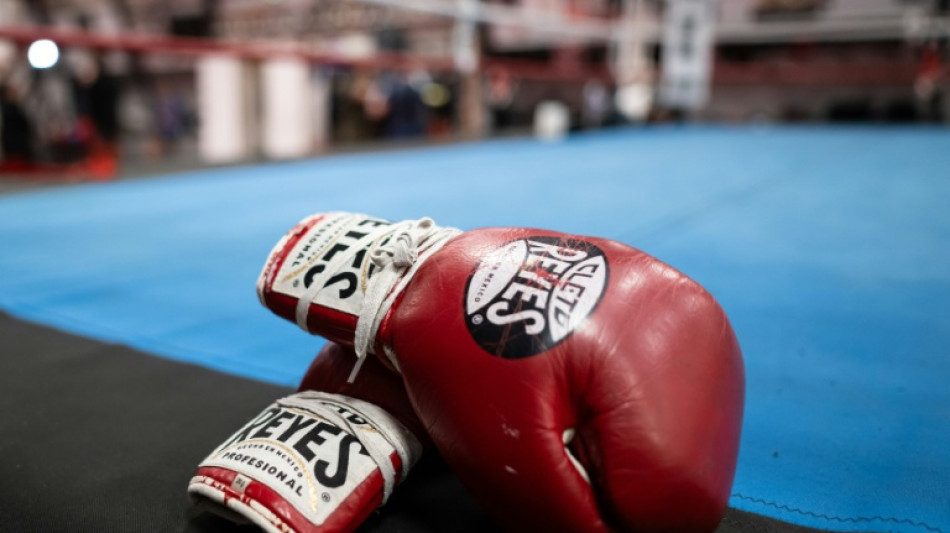 Deaths could spell end for Japanese boxing, says commission chief