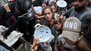 US blocks Gaza ceasefire resolution at UN Security Council
