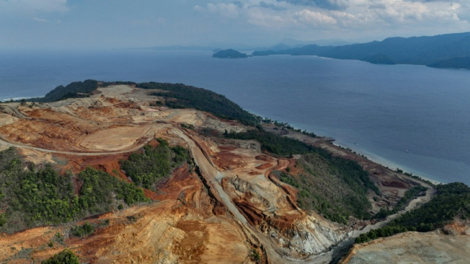Indonesia revokes most mining permits in dive hotspot after outcry
