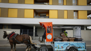 A Stains, un cheval-&eacute;boueur pour sensibiliser au tri des d&eacute;chets