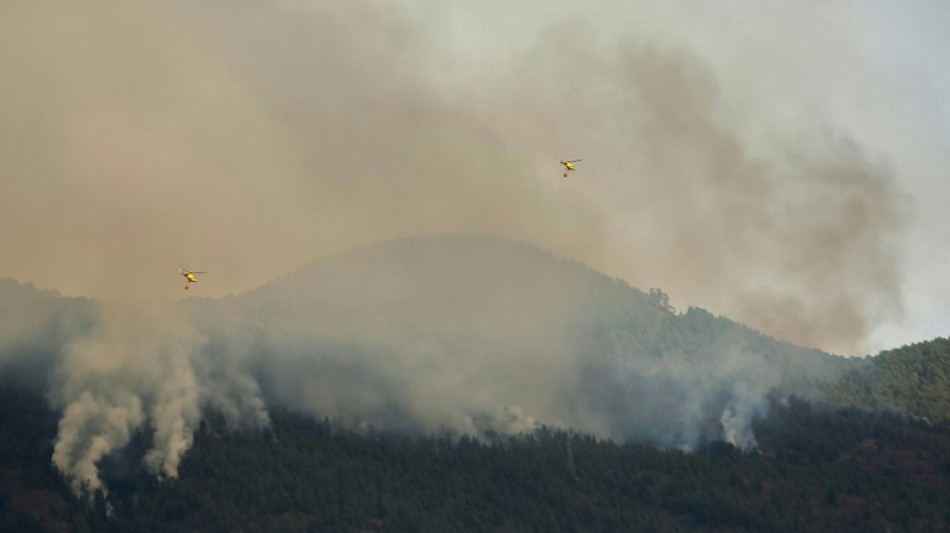 El incendio en Tenerife empieza a normalizarse tras quemar casi 4.000 hect&aacute;reas