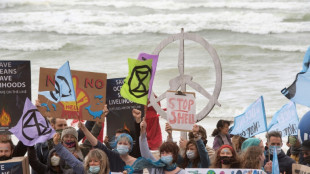 Afrique du Sud: audience &agrave; la Cour constitutionnelle dans une affaire visant Shell