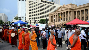 En d&eacute;faut de paiement, le Sri Lanka en appelle &agrave; la g&eacute;n&eacute;rosit&eacute; de sa diaspora