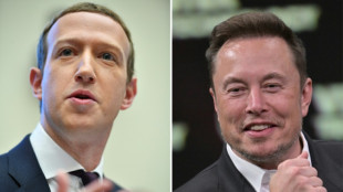 Musk diz que 'luta' contra Zuckerberg acontecer&aacute; na It&aacute;lia