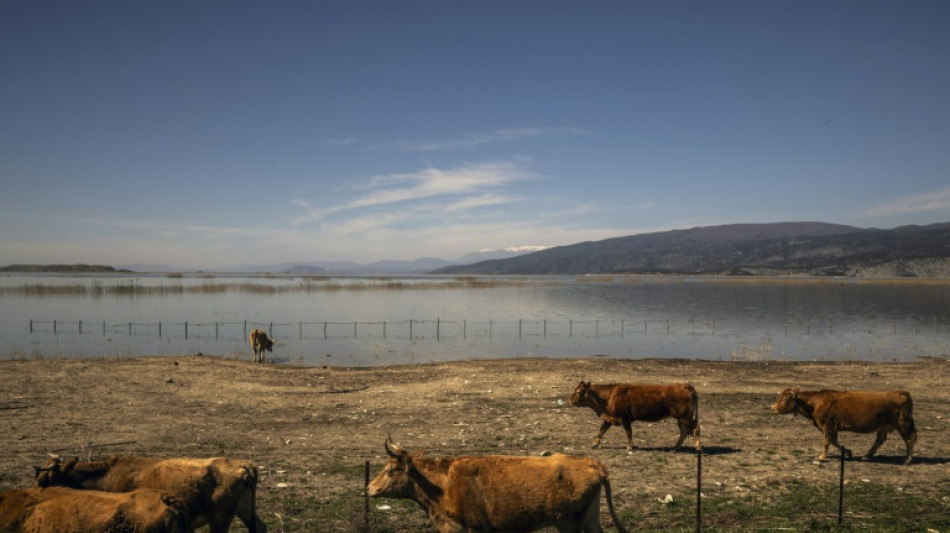Gr&egrave;ce: vaste coup de filet en lien avec une fraude "syst&eacute;matique" aux aides agricoles europ&eacute;ennes