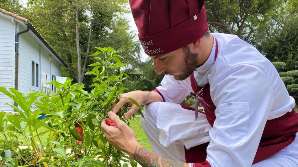 Alla scoperta della longevit&agrave; sana, a Roma prima 'Lifeness Zone'