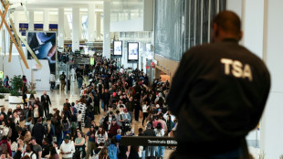 Senado dos EUA age para acabar com o caos nos aeroportos