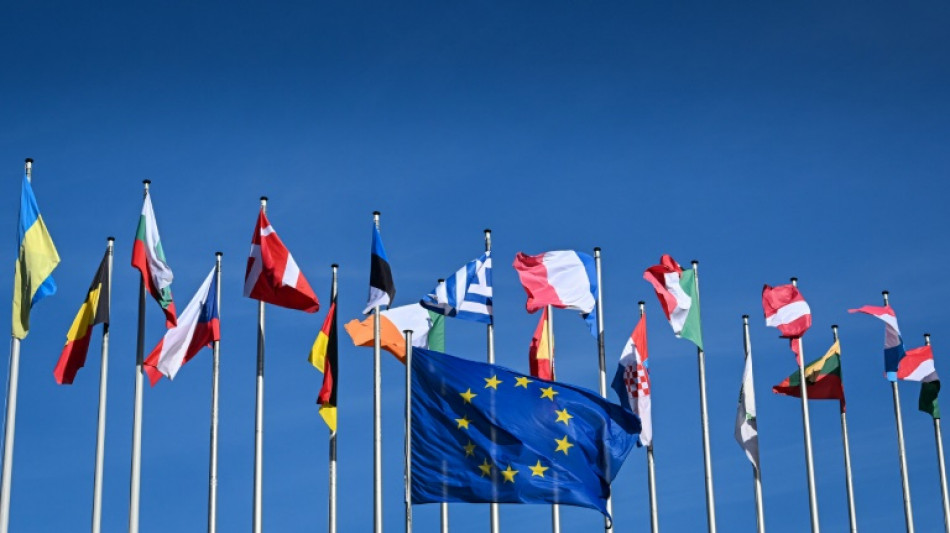 Les Pays-Bas lancent le marathon des &eacute;lections europ&eacute;ennes