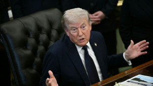 Trump dit envisager une r&eacute;duction des forces arm&eacute;es am&eacute;ricaines en Allemagne