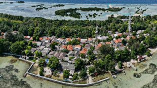 "David contre Goliath": une &icirc;le indon&eacute;sienne et le cimentier Holcim s'affrontent en justice